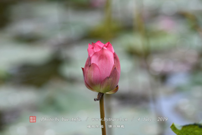 海晏蕭氏民居、