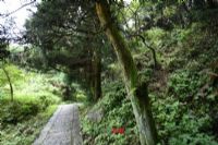 萬馬河生態(tài)保護(hù)區(qū)、