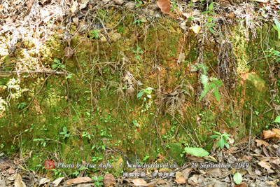 紅軍攻城戰(zhàn)斗遺址